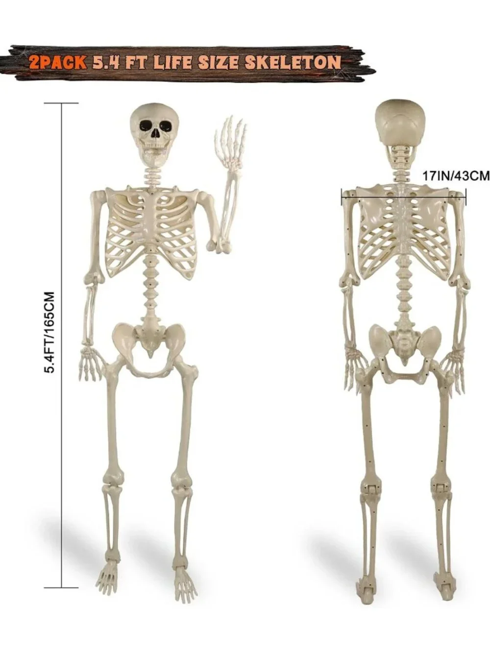 2 Pack 5.4ft Life Size Halloween Skeletons - Realistic Posable Outdoor Decor